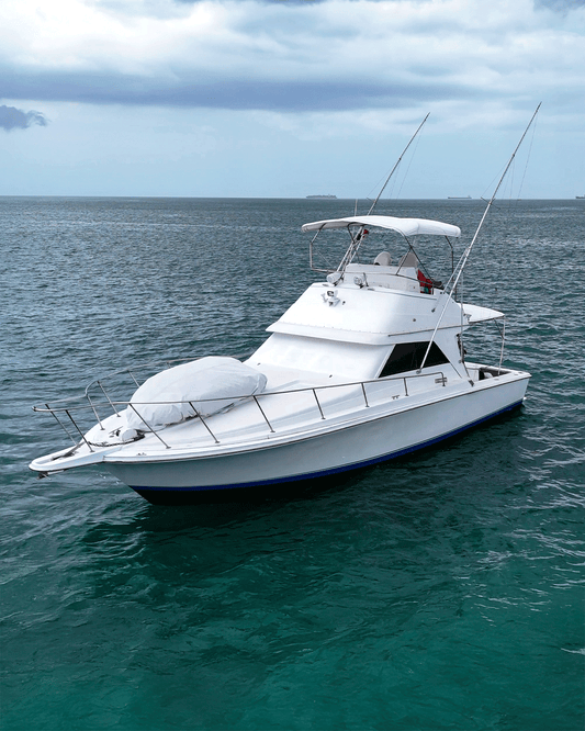 Yate 38' Troyan